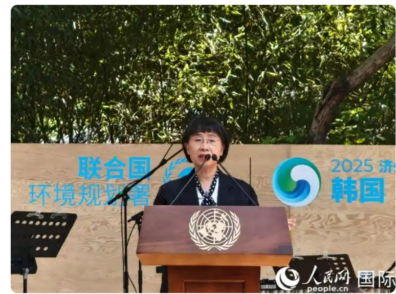 人民网 国际网.png